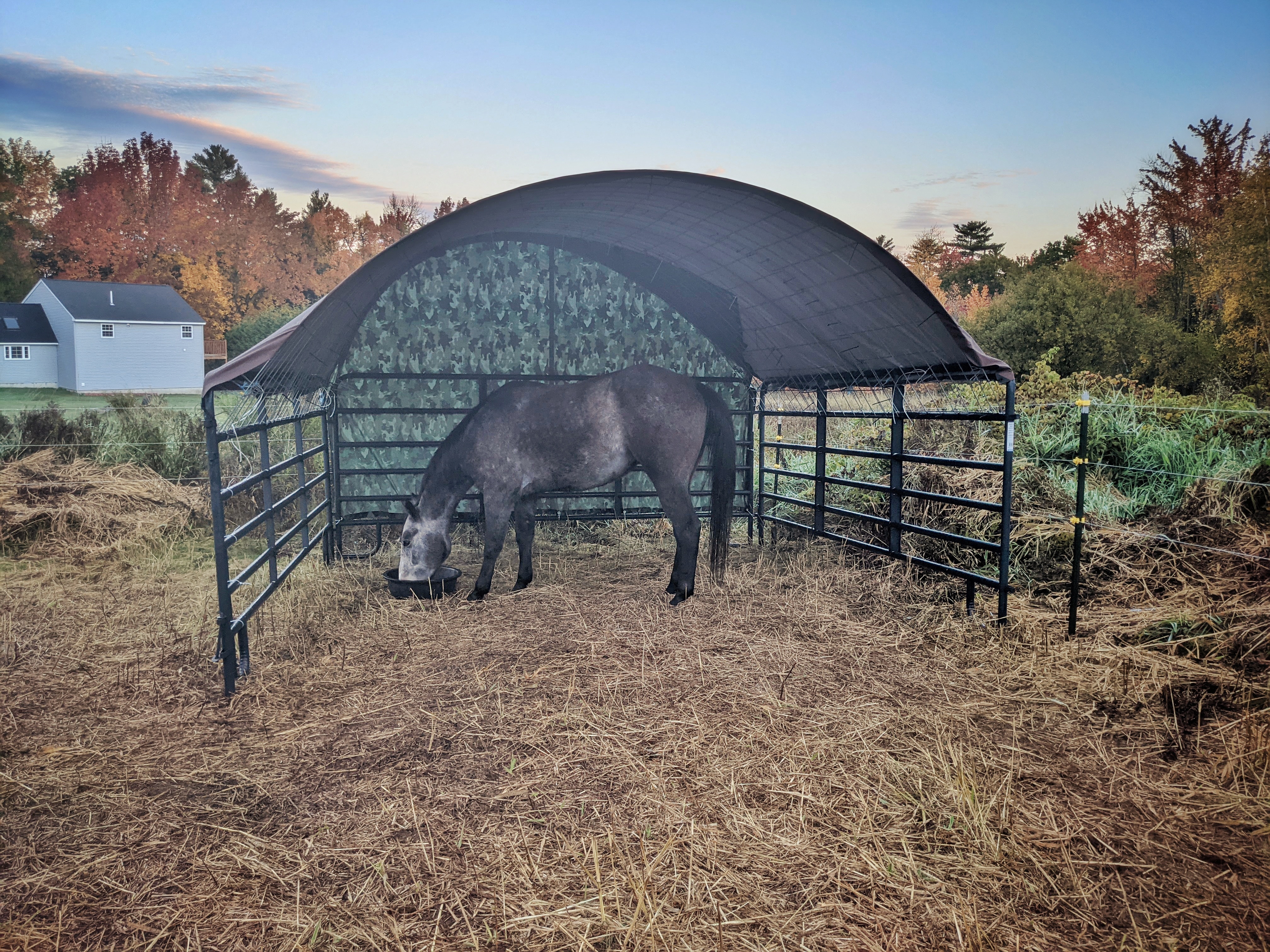Simple horse shelter: easy to assemble