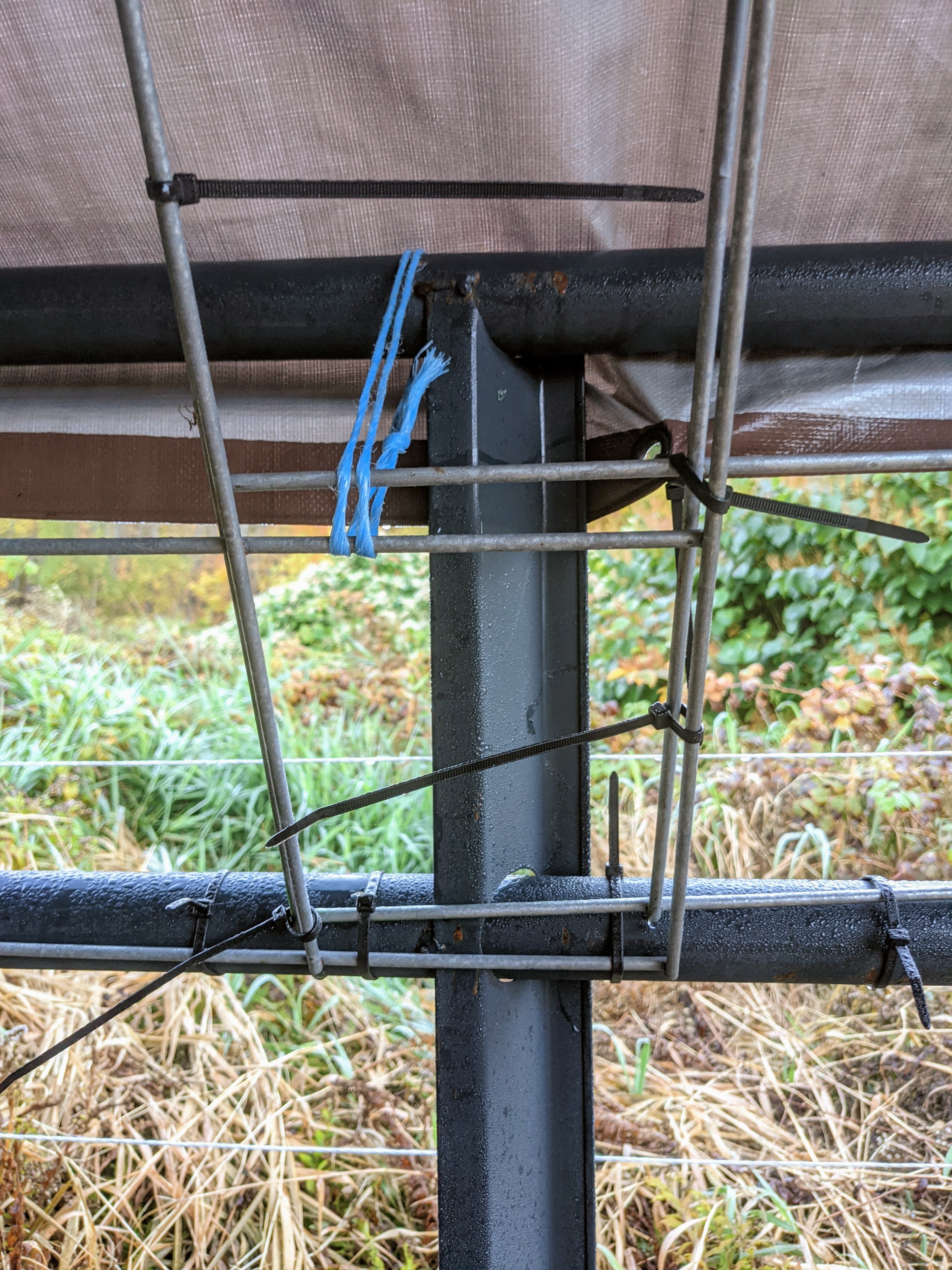 Overlap cattle panels for the roof and secure with zip ties.