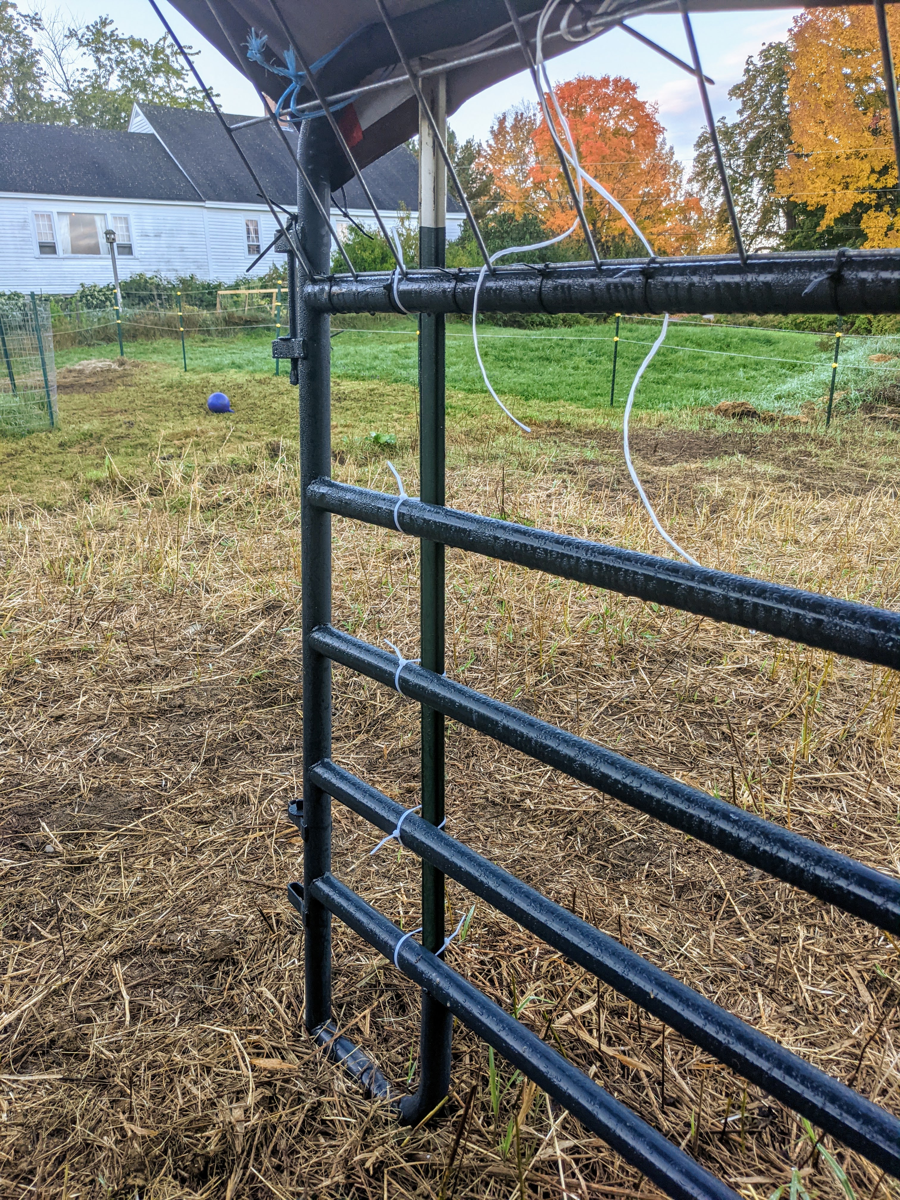 First corral panel is zip tied to a t-post for added security